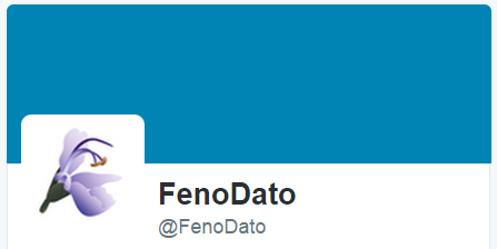 Twitter capture Fenodato
